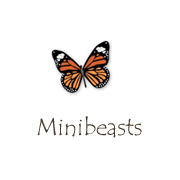 Minibeasts