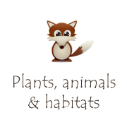 Plants, animals & habitats