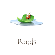 Ponds