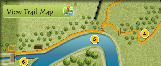 View Trail Map